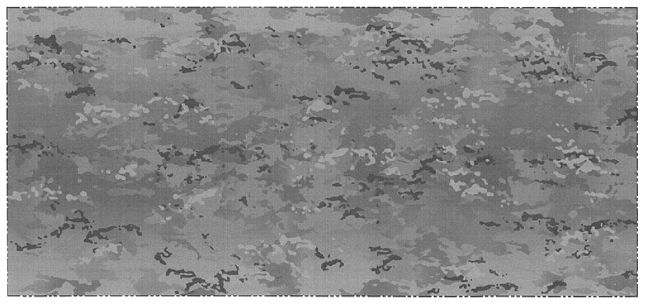 Greyscale view scorpion W2